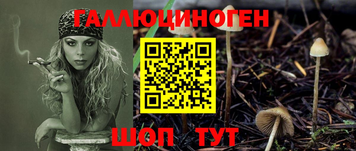 Галлюциногенные грибы прущие грибы  продажа наркотиков  Черемхово  Галлюциногенные грибы Cubensis  Вход с VPN 